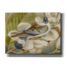 'Painted Plumage One' by Steve Hunziker, Canvas Wall Art