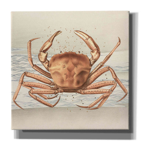 Image of 'Sandcritter 1' by Karen Smith, Canvas Wall Art