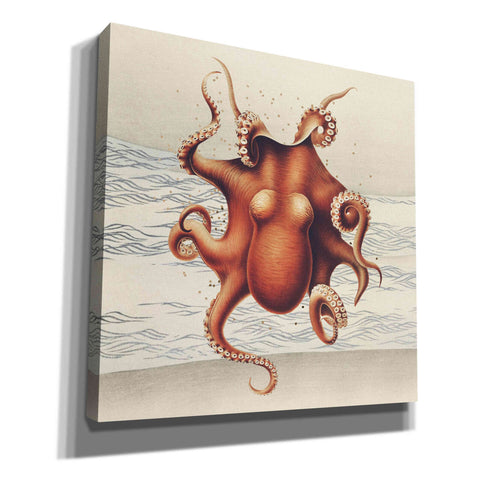 Image of 'Sandcritter 2' by Karen Smith, Canvas Wall Art