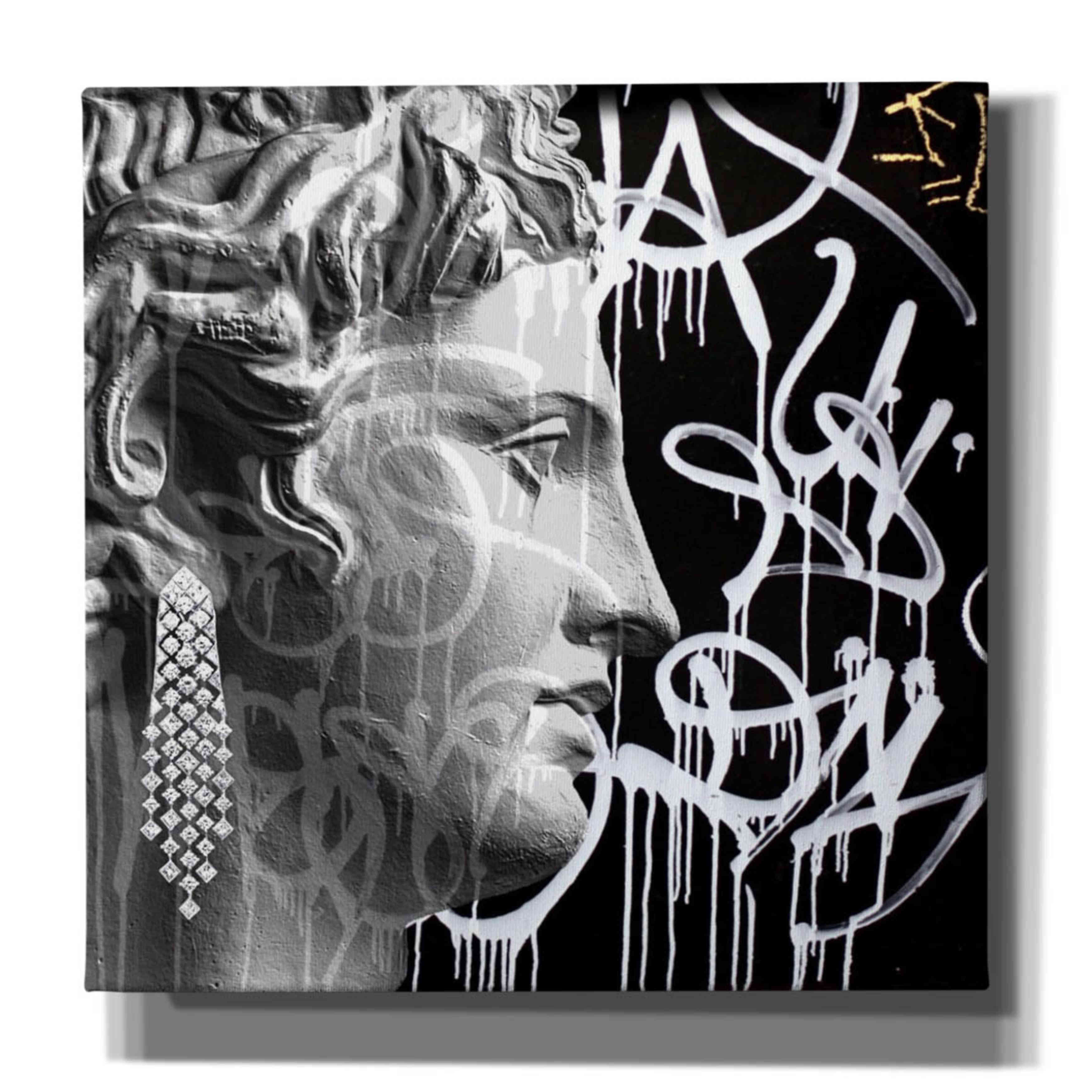'Graffiti Bust 2' by Karen Smith, Canvas Wall Art