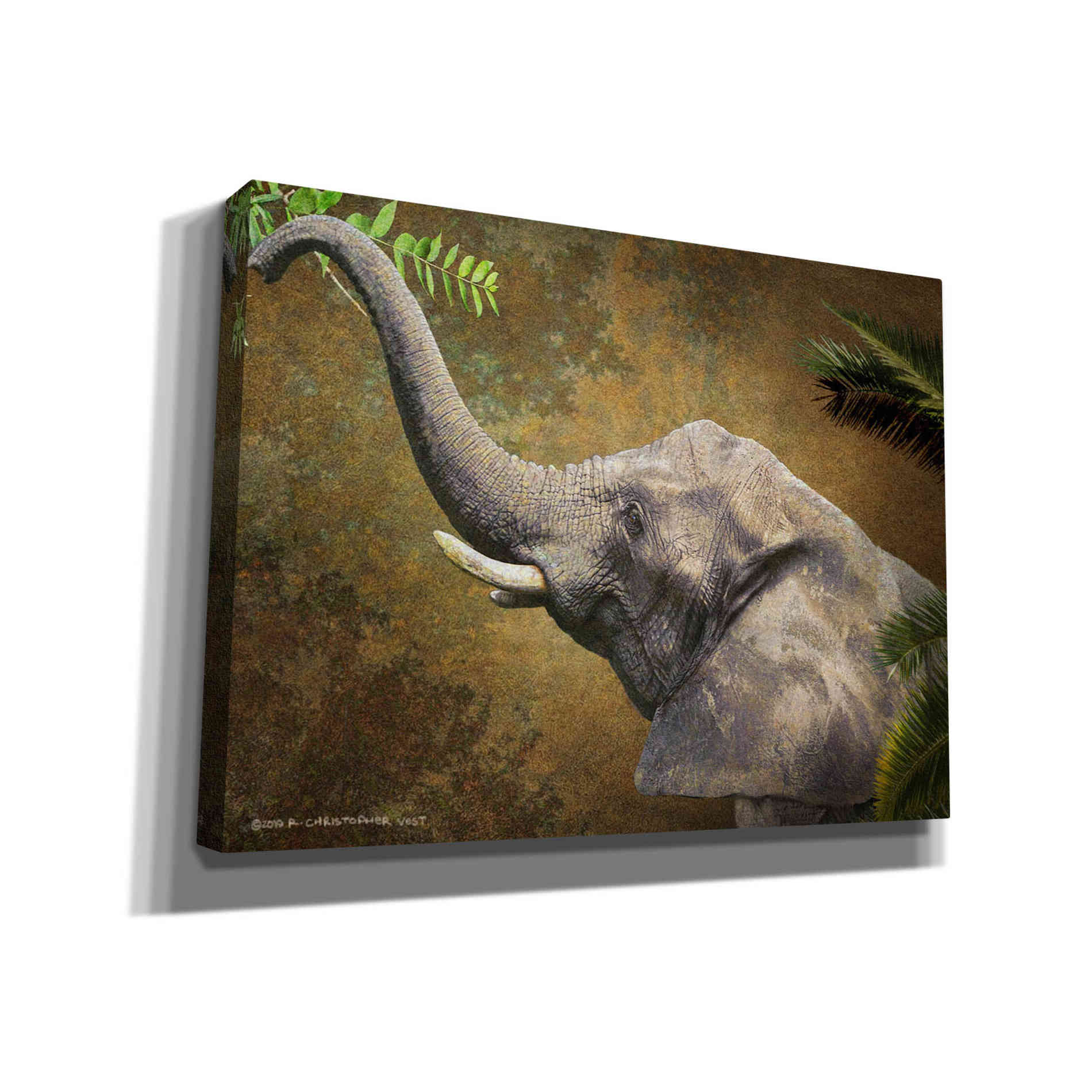 'Forest Elephant' by Chris Vest, Canvas Wall Art