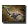 'Forest Elephant' by Chris Vest, Canvas Wall Art