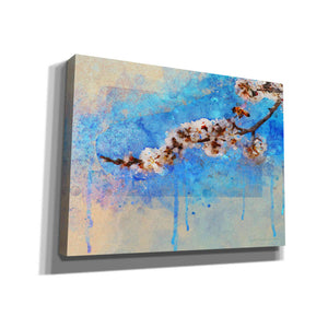 'Apricot Blossom' by Chris Vest, Canvas Wall Art
