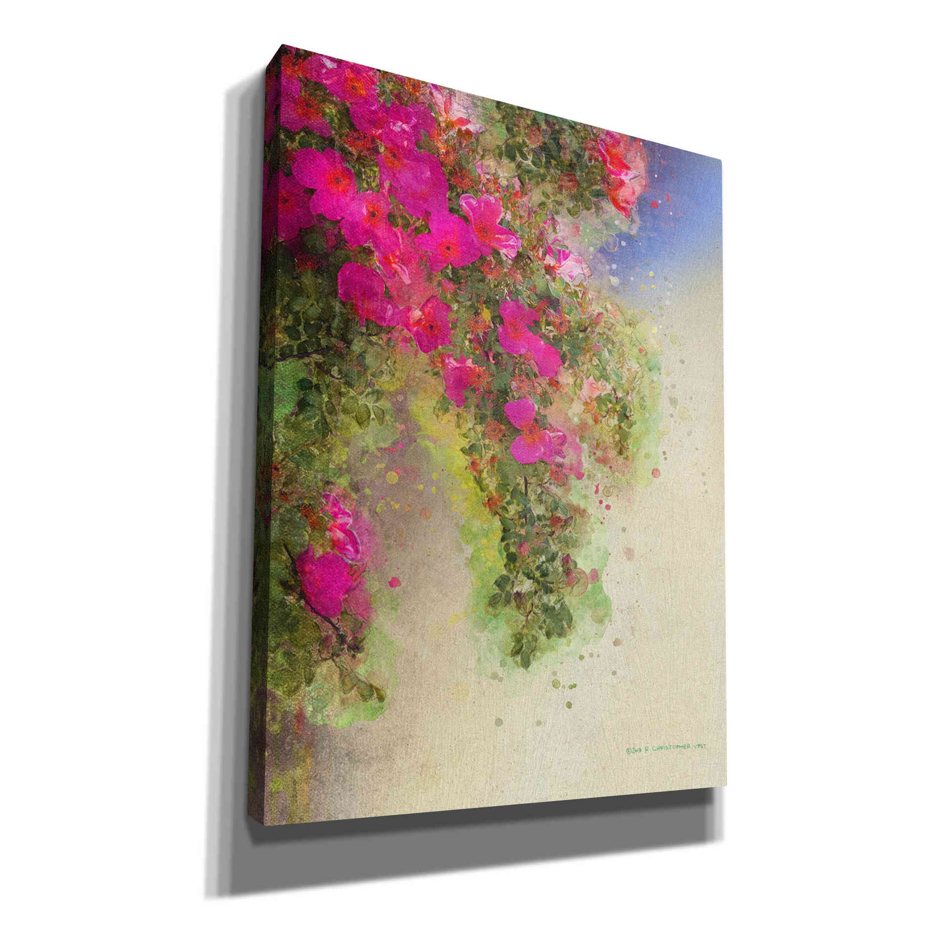 'Cascade of Roses' by Chris Vest, Canvas Wall Art