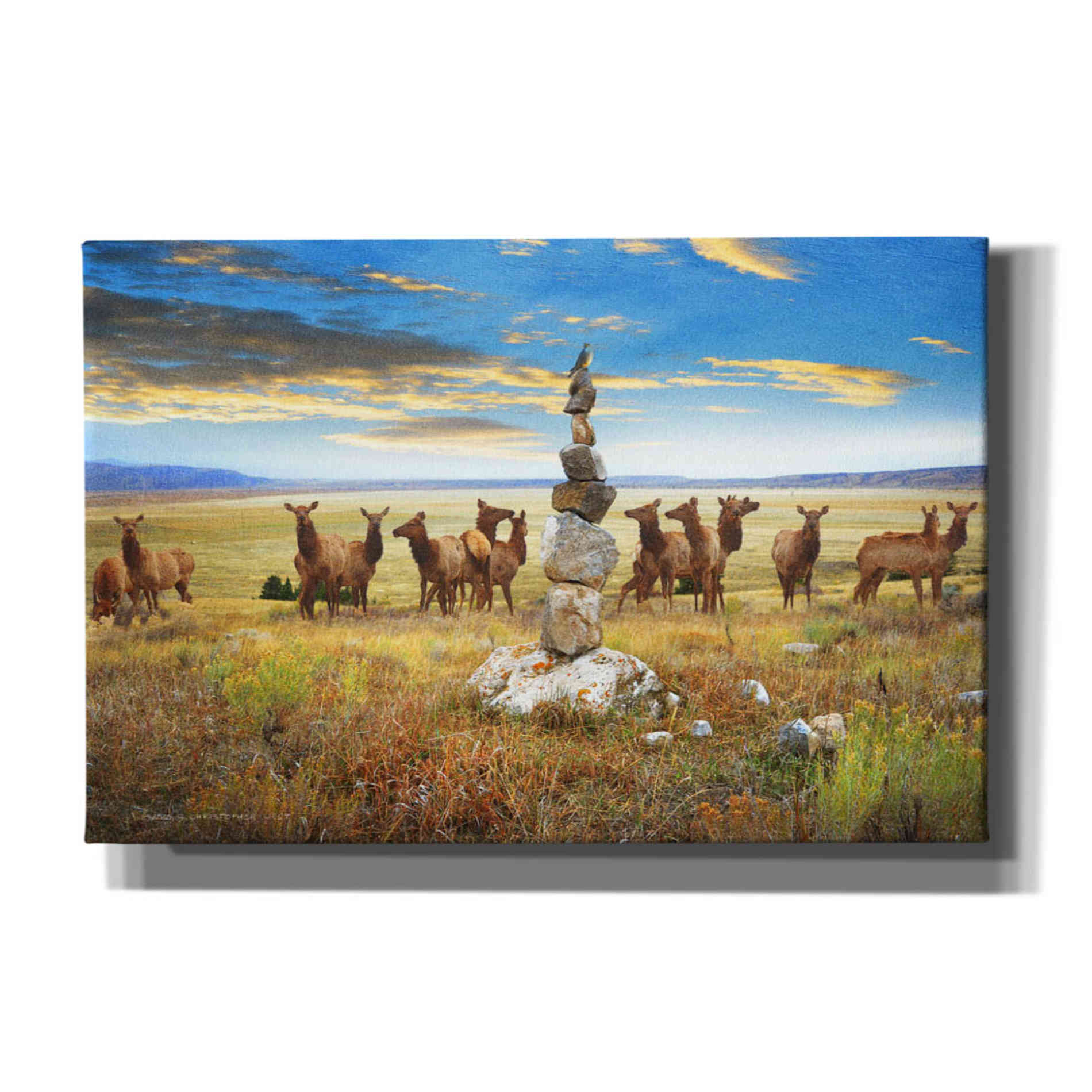 'Cairn Above Elk Refuge' by Chris Vest, Canvas Wall Art