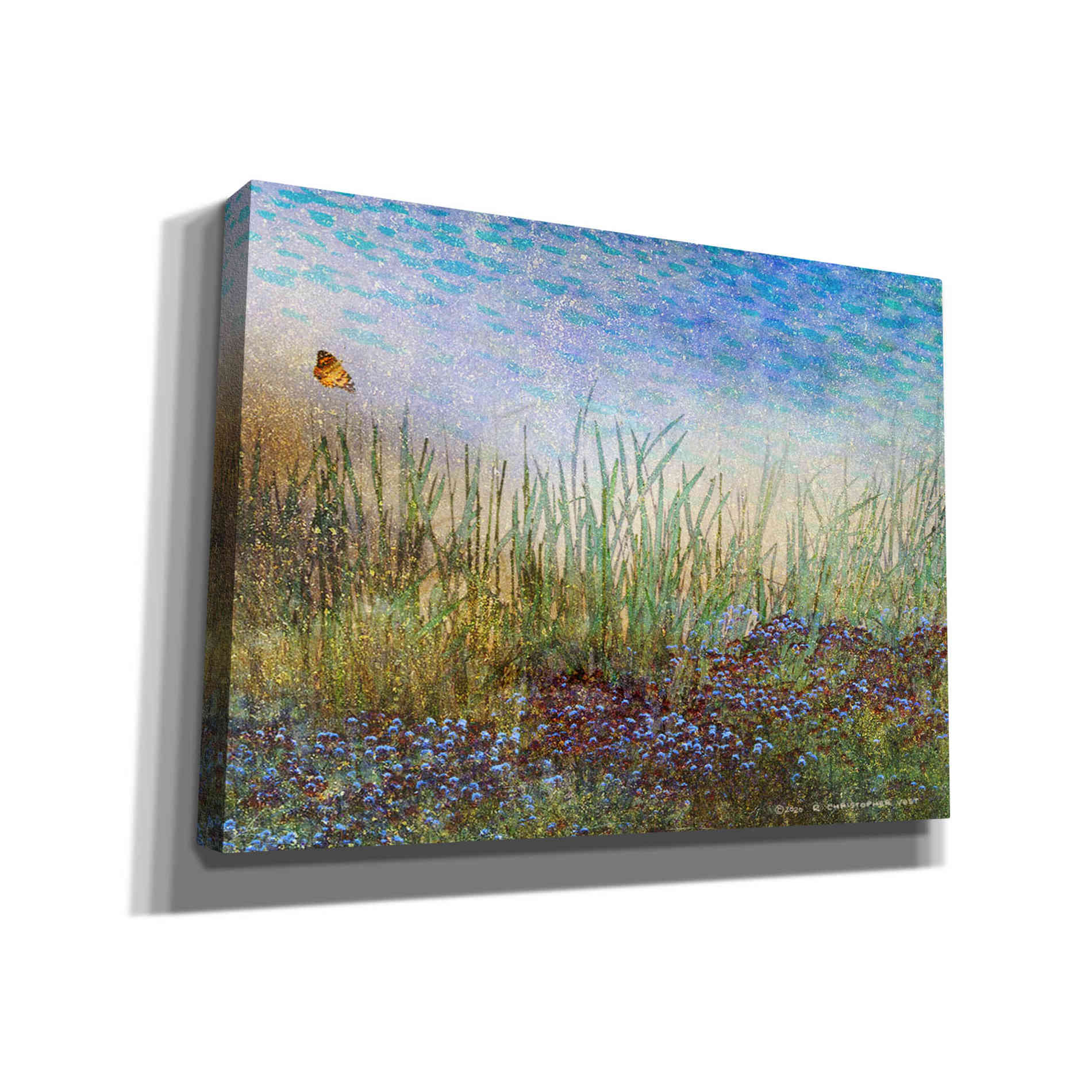 'Meadow with Butterfly' by Chris Vest, Canvas Wall Art