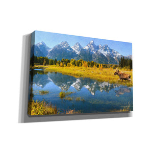 'Grand Teton Reflections Moose' by Chris Vest, Canvas Wall Art