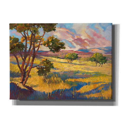 Image of 'Wide horizons 2' by Graham Reynolds, Canvas Wall Art