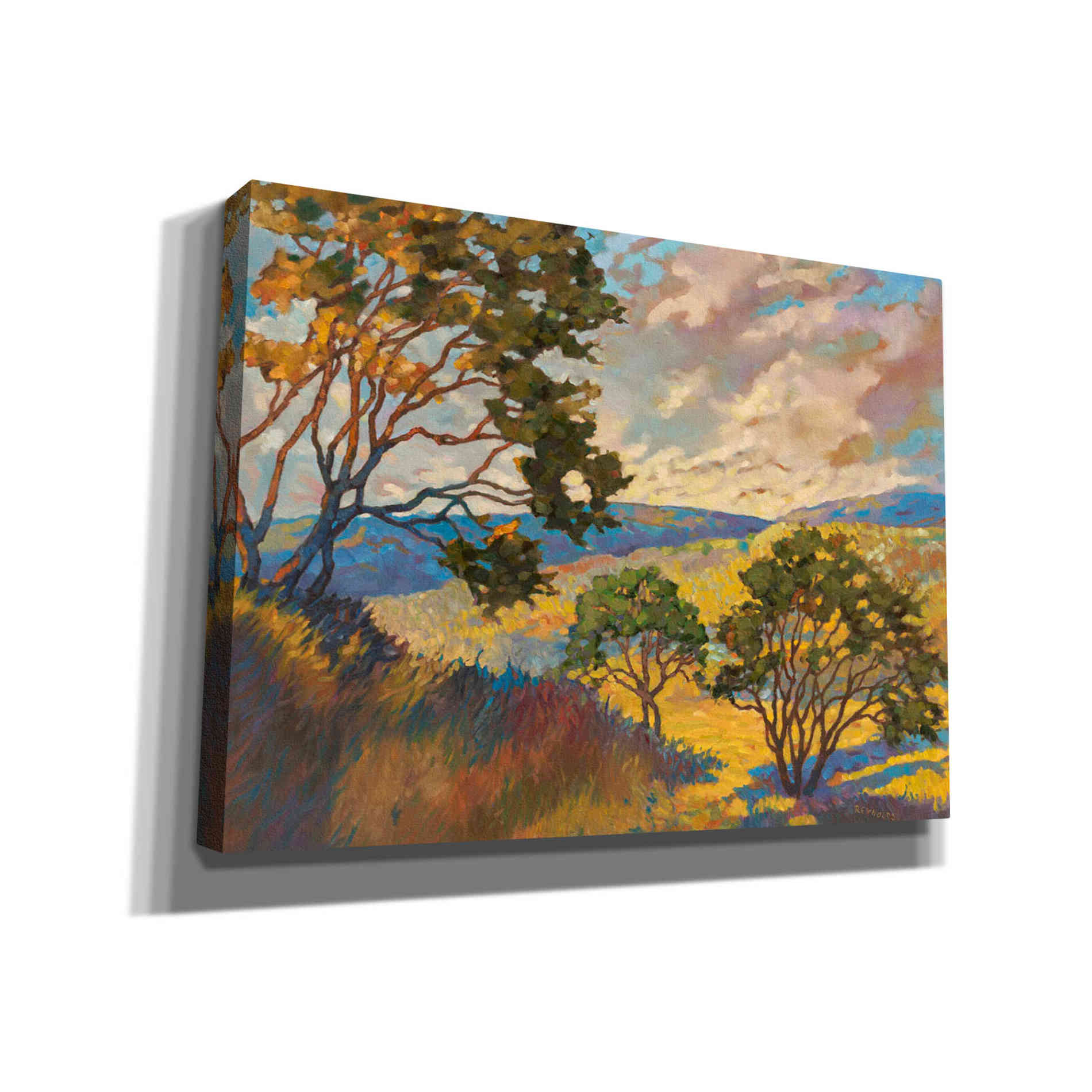 'Wide horizons 1' by Graham Reynolds, Canvas Wall Art