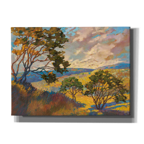 Image of 'Wide horizons 1' by Graham Reynolds, Canvas Wall Art