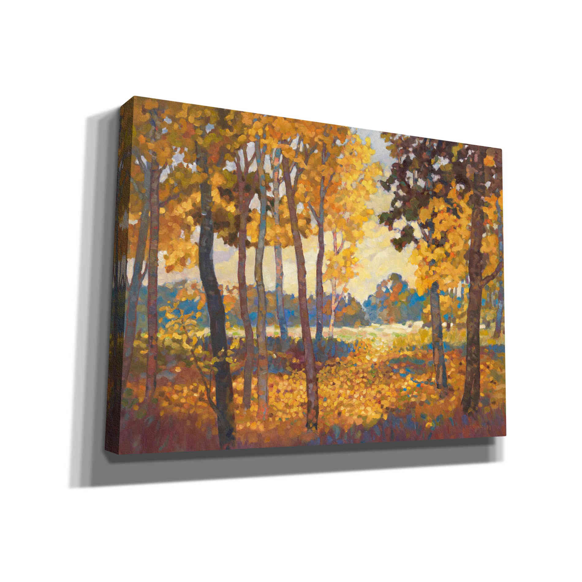 'Windstill 1' by Graham Reynolds, Canvas Wall Art