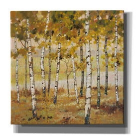 'Brookside 1' by Graham Reynolds, Canvas Wall Art