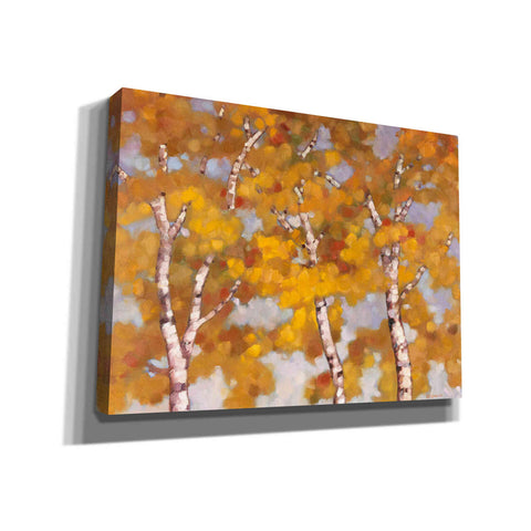 Image of 'Soft Breeze 2' by Graham Reynolds, Canvas Wall Art