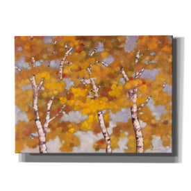 'Soft Breeze 2' by Graham Reynolds, Canvas Wall Art