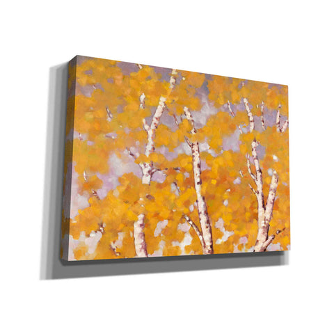 Image of 'Soft Breeze 1' by Graham Reynolds, Canvas Wall Art