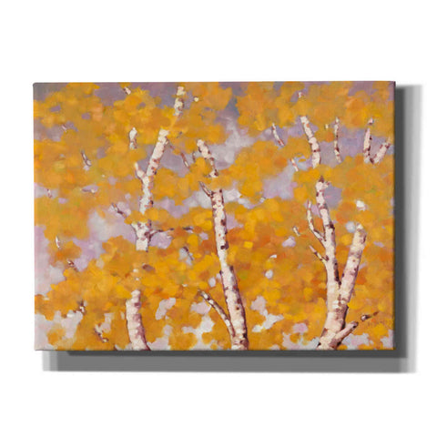 Image of 'Soft Breeze 1' by Graham Reynolds, Canvas Wall Art