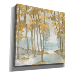 'Clear View 1' by Graham Reynolds, Canvas Wall Art