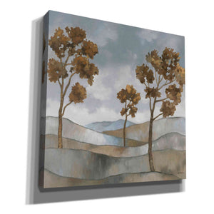 'Rolling Hills 2' by Graham Reynolds, Canvas Wall Art