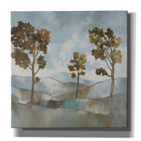 'Rolling Hills 1' by Graham Reynolds, Canvas Wall Art
