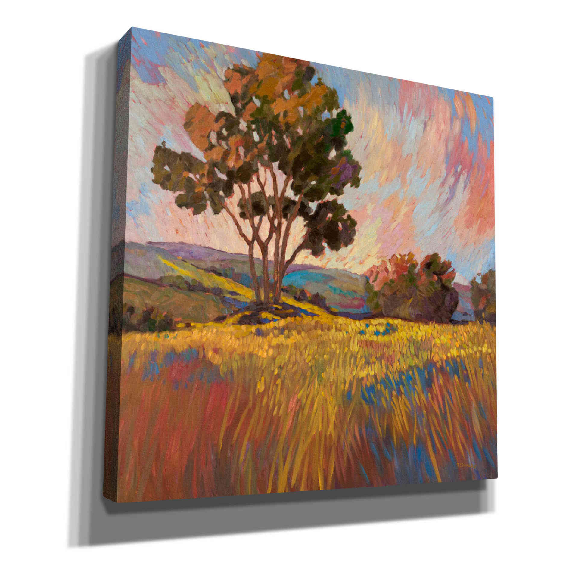 'Sandhills 2' by Graham Reynolds, Canvas Wall Art