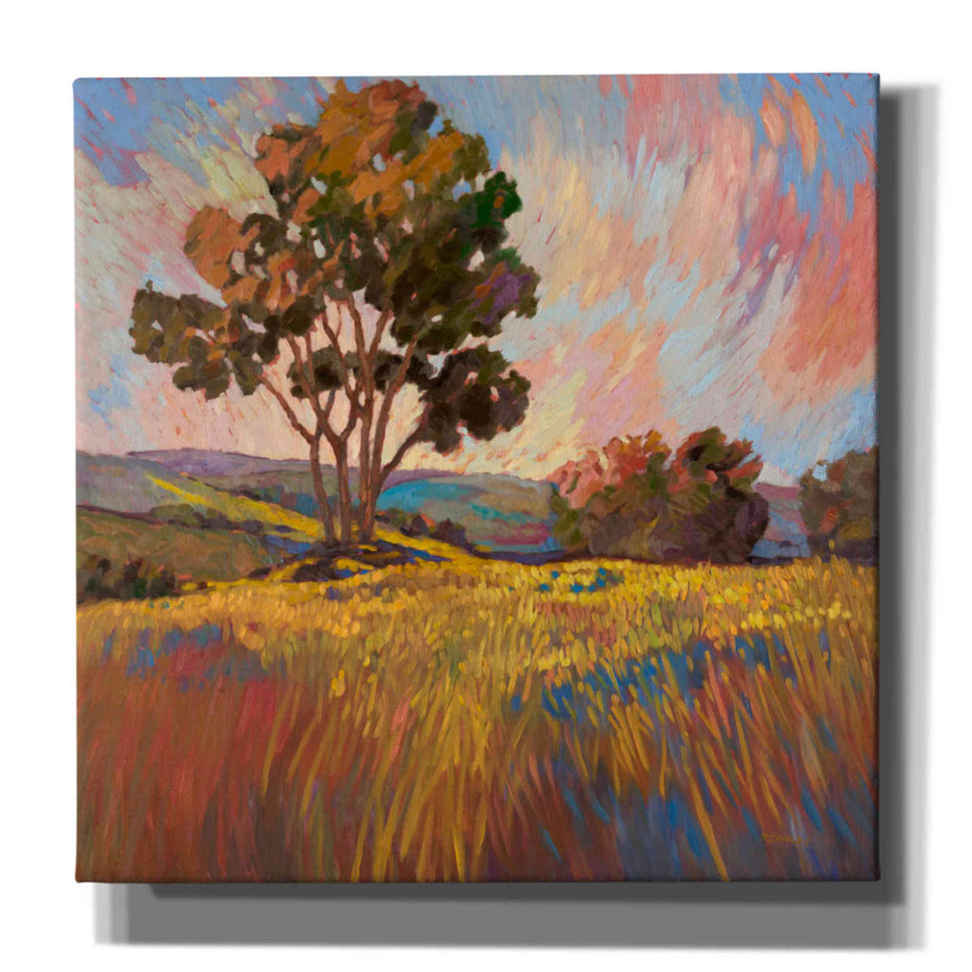 'Sandhills 2' by Graham Reynolds, Canvas Wall Art