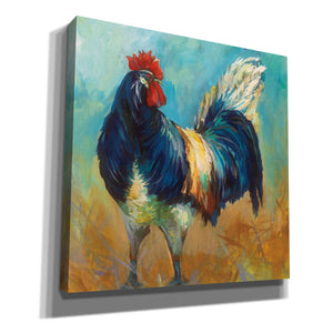 'Cocky' by Jeanette Vertentes, Canvas Wall Art