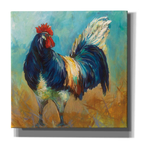 Image of 'Cocky' by Jeanette Vertentes, Canvas Wall Art