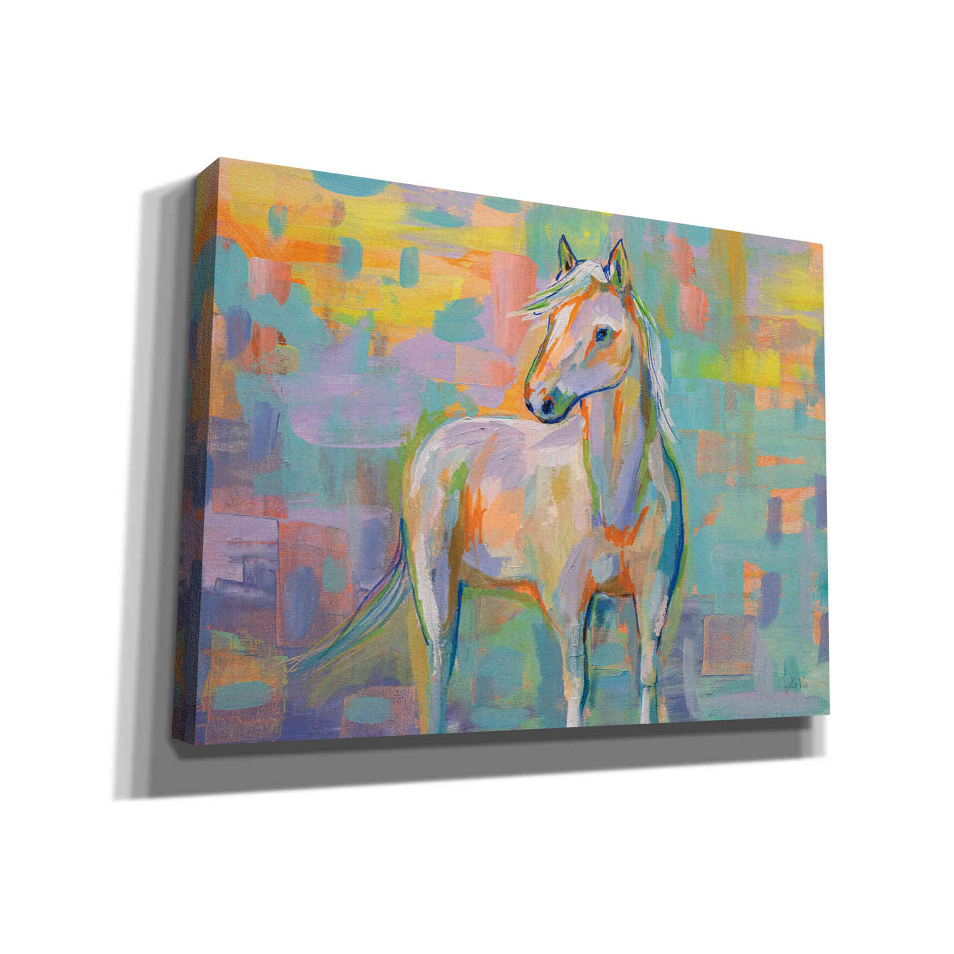 'Snow' by Jeanette Vertentes, Canvas Wall Art