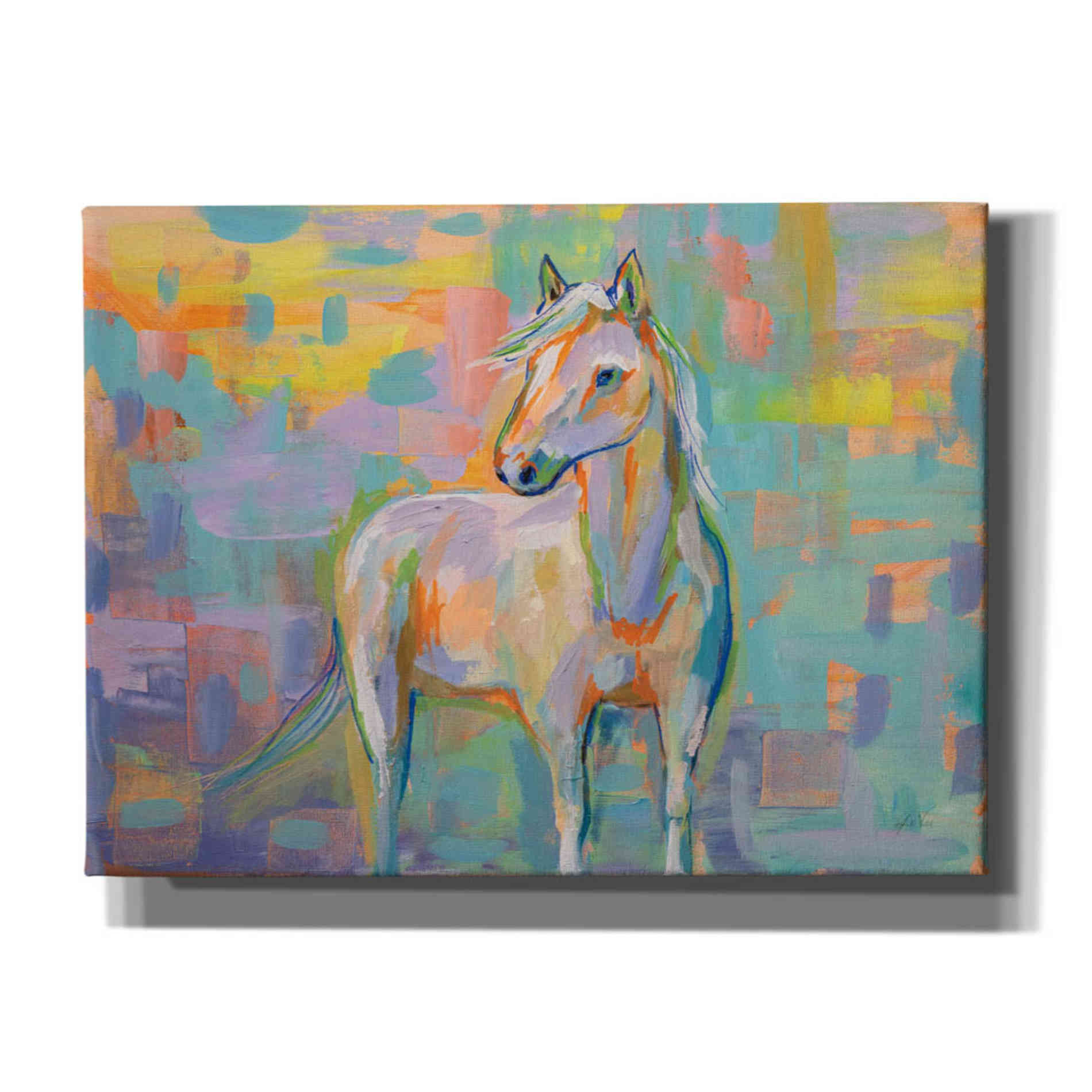 'Snow' by Jeanette Vertentes, Canvas Wall Art