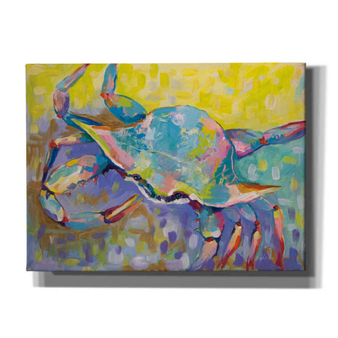 Image of 'Crabby Boy' by Jeanette Vertentes, Canvas Wall Art