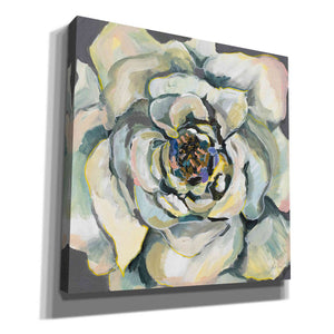 'Bloom I' by Jeanette Vertentes, Canvas Wall Art