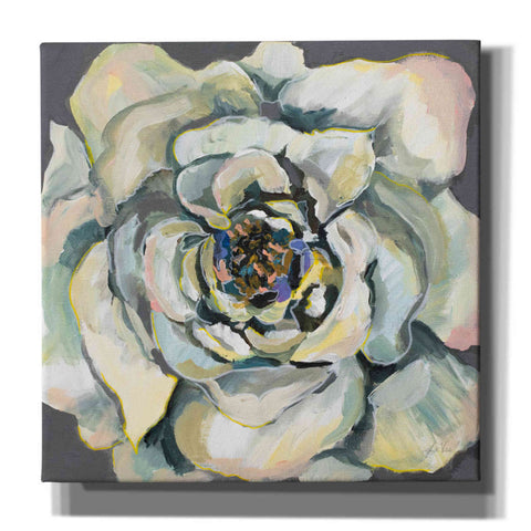 Image of 'Bloom I' by Jeanette Vertentes, Canvas Wall Art