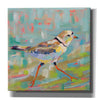 'Coastal Plover I' by Jeanette Vertentes, Canvas Wall Art