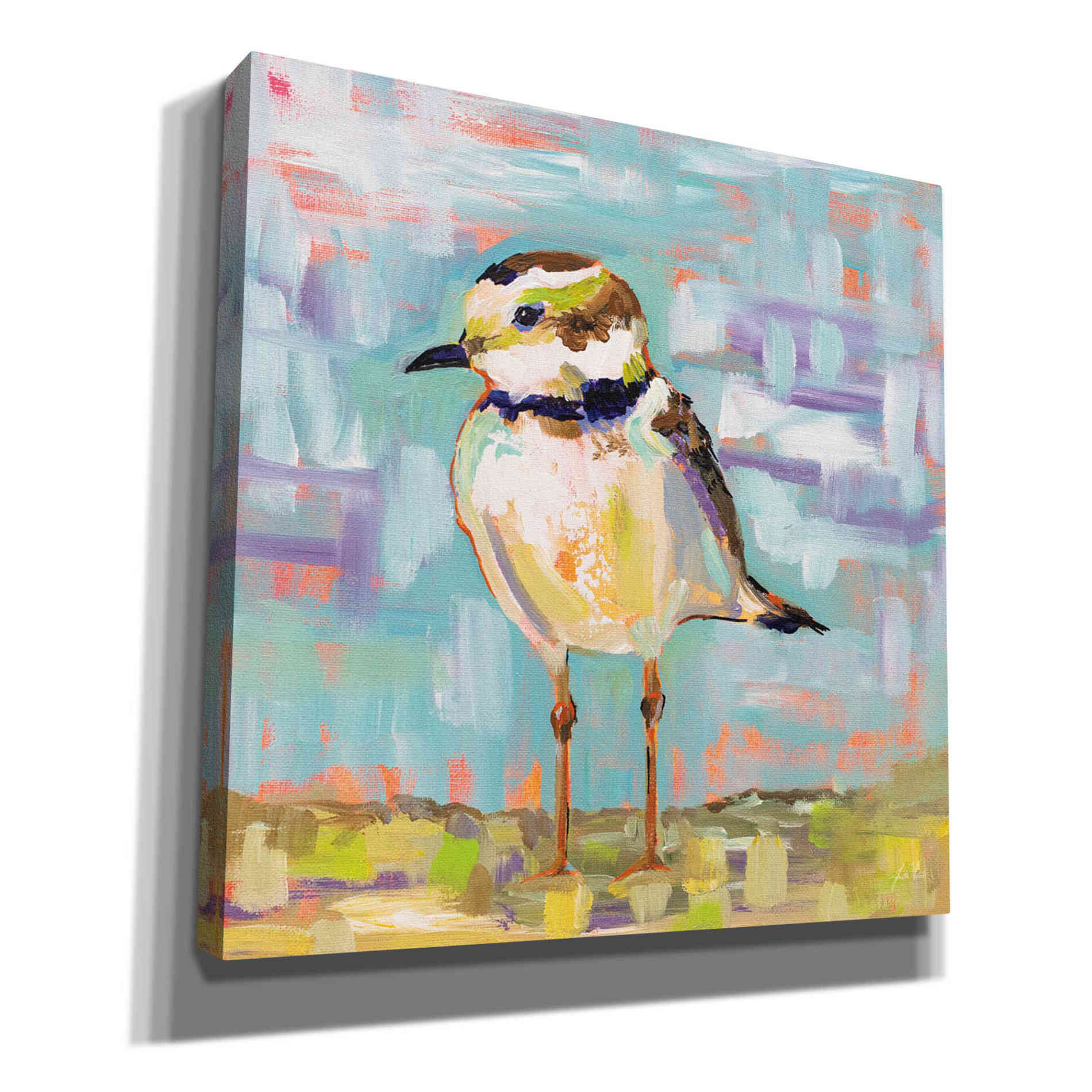 'Coastal Plover II' by Jeanette Vertentes, Canvas Wall Art