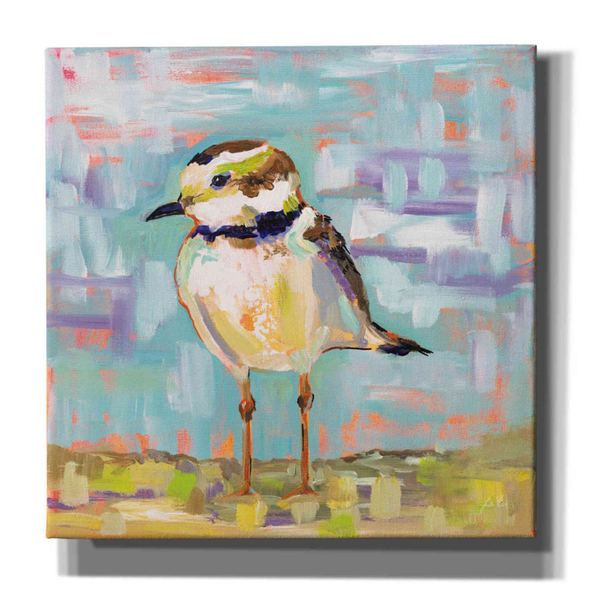 'Coastal Plover II' by Jeanette Vertentes, Canvas Wall Art