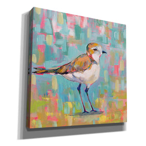'Coastal Plover III' by Jeanette Vertentes, Canvas Wall Art