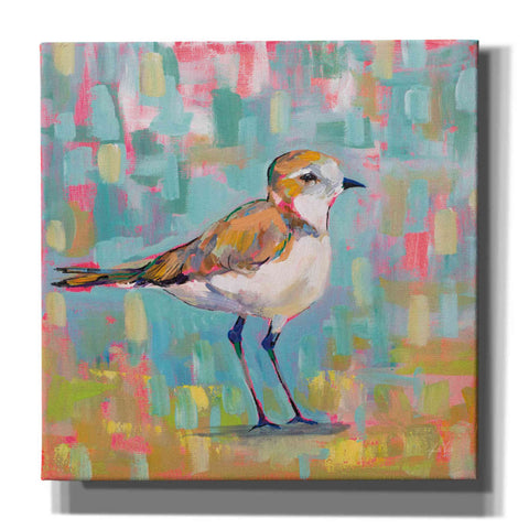 Image of 'Coastal Plover III' by Jeanette Vertentes, Canvas Wall Art