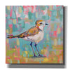 'Coastal Plover III' by Jeanette Vertentes, Canvas Wall Art