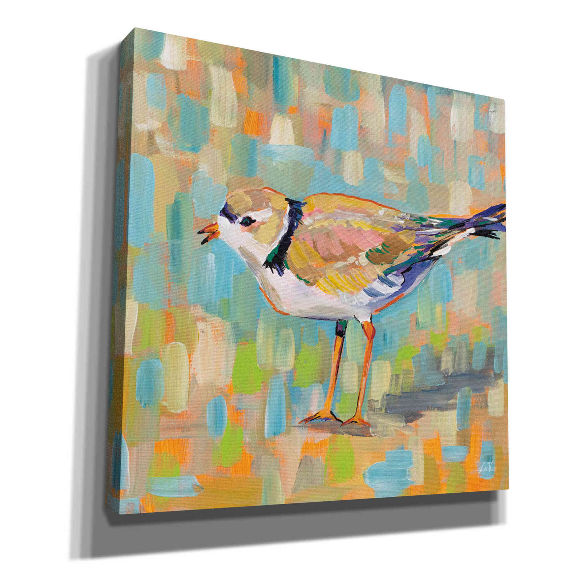 'Coastal Plover IV' by Jeanette Vertentes, Canvas Wall Art