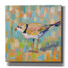 'Coastal Plover IV' by Jeanette Vertentes, Canvas Wall Art