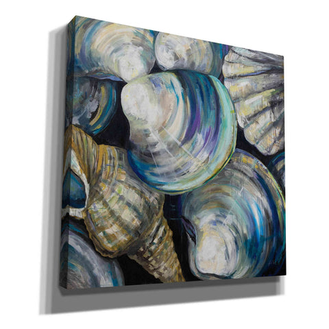 Image of 'Key West Shells' by Jeanette Vertentes, Canvas Wall Art