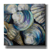 'Key West Shells' by Jeanette Vertentes, Canvas Wall Art