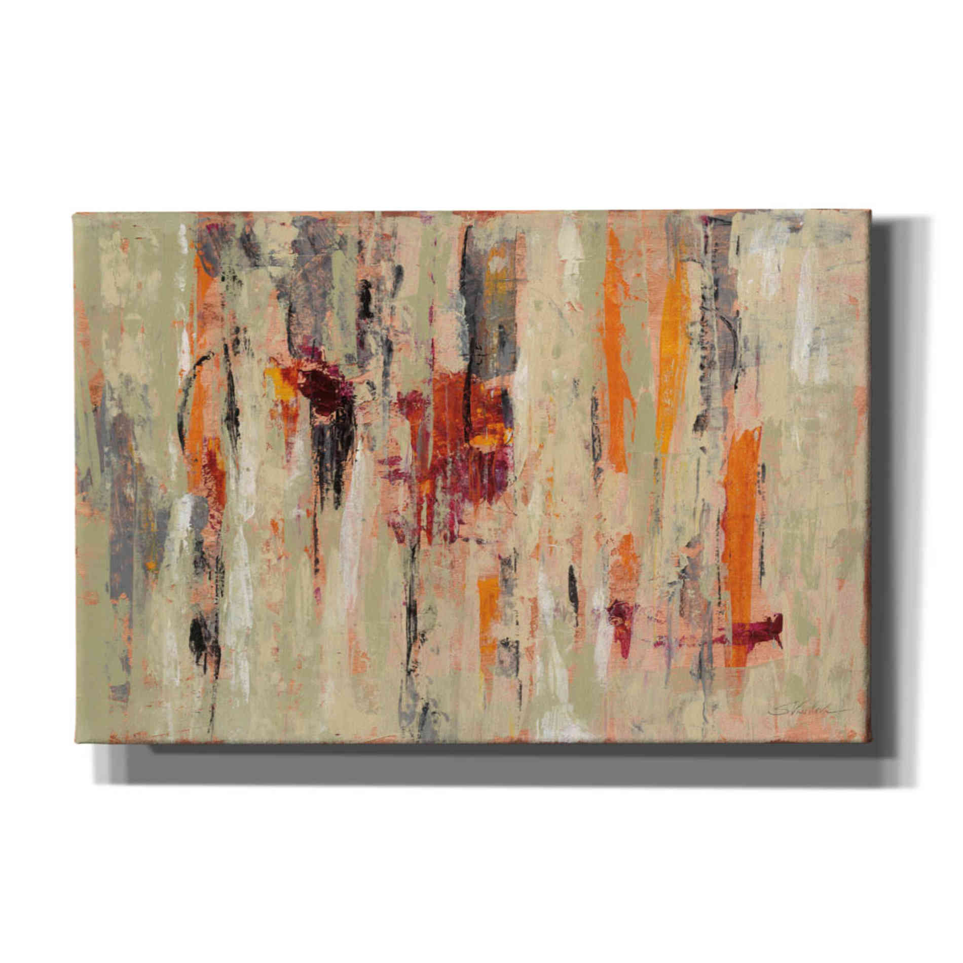 'Graffiti Wall I' by Silvia Vassileva, Canvas Wall Art