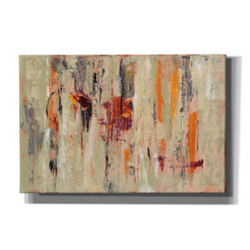 'Graffiti Wall I' by Silvia Vassileva, Canvas Wall Art