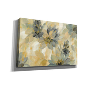 'Secret Garden' by Silvia Vassileva, Canvas Wall Art