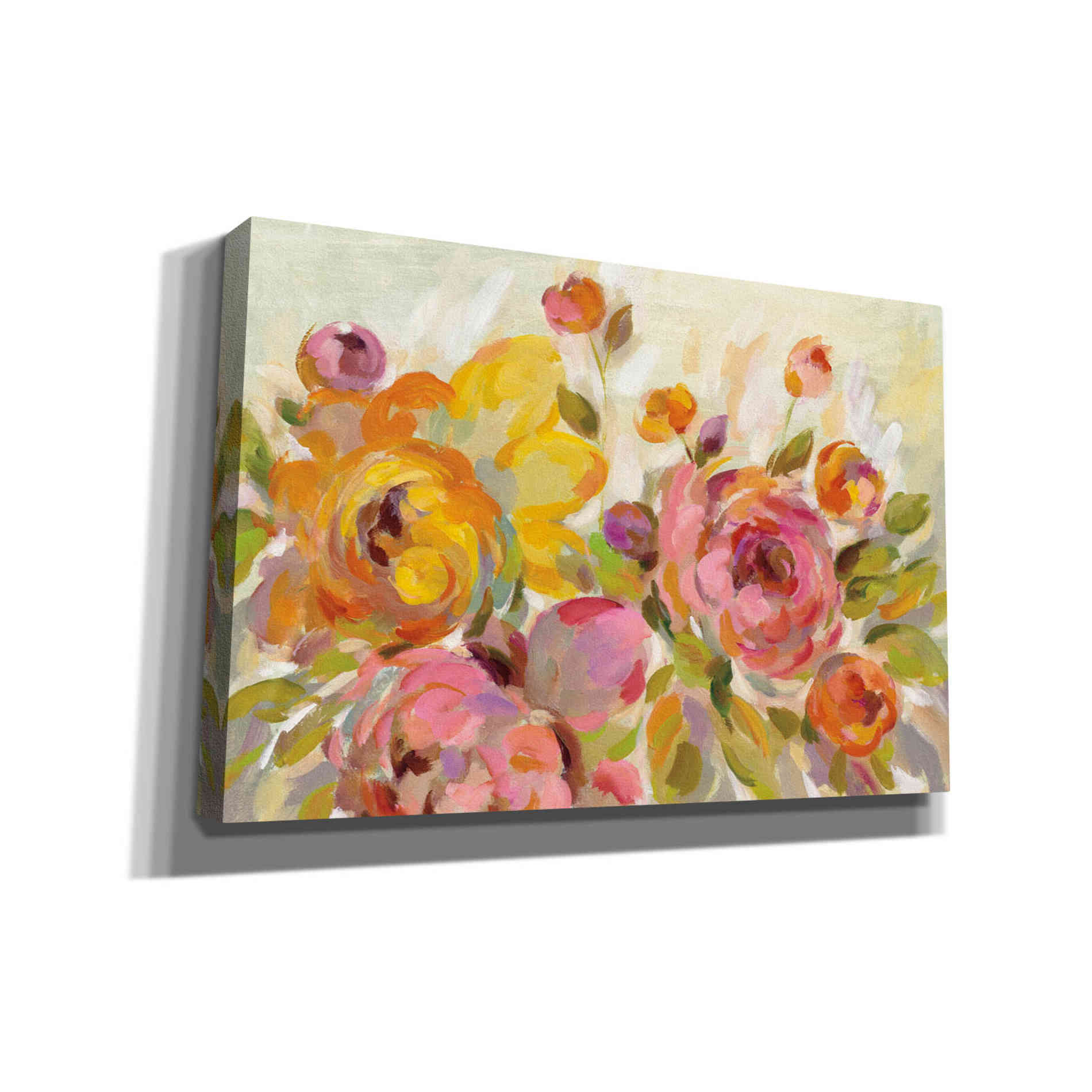 'Brushy Peonies' by Silvia Vassileva, Canvas Wall Art