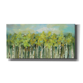 'April Tree Tops' by Silvia Vassileva, Canvas Wall Art