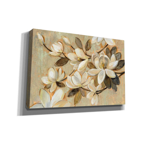 Image of 'Magnolia Simplicity' by Silvia Vassileva, Canvas Wall Art