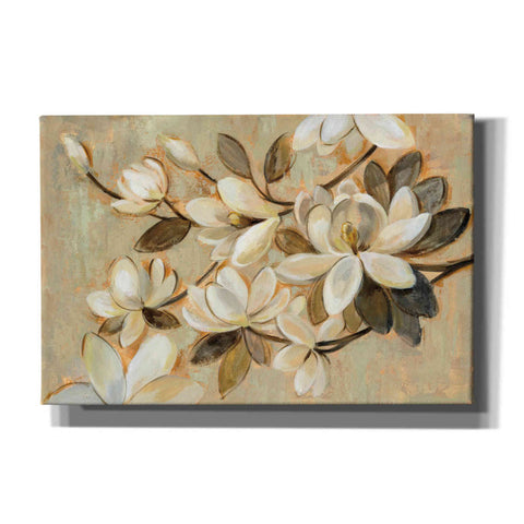 Image of 'Magnolia Simplicity' by Silvia Vassileva, Canvas Wall Art