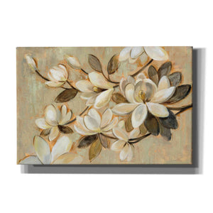 'Magnolia Simplicity' by Silvia Vassileva, Canvas Wall Art